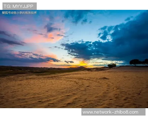 布莱克尼的魅力探秘：揭示这座城市的历史与文化之美